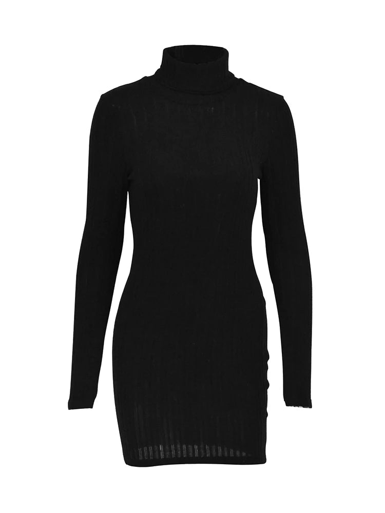 Eliana Elegant Bodycon Party Dress